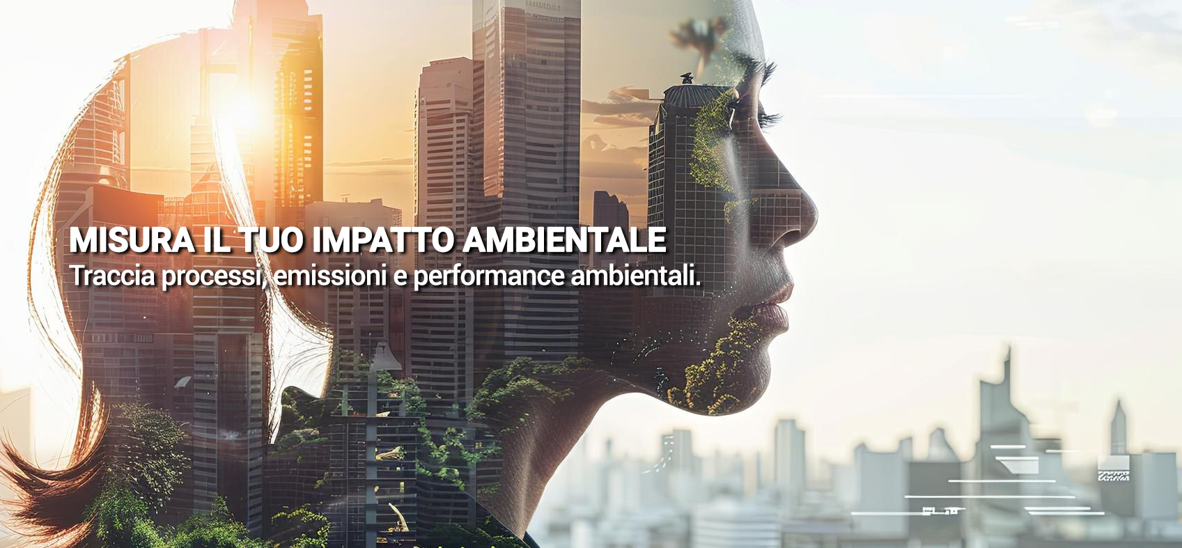 consulenza ambientale