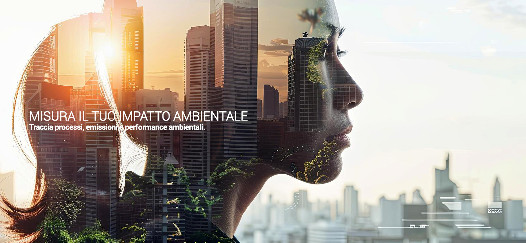 gestione 3